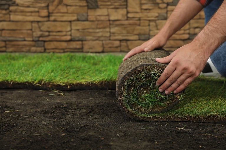 Laying grass sod on ground at backyard