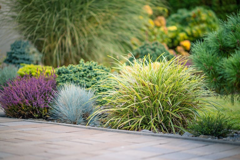 Lush garden beds display a variety of plants with ornamental grasses and shrubs