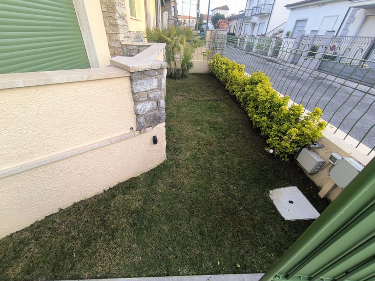 Narrow side yard between two houses with green grass, hedges, and a white utility box along the fence