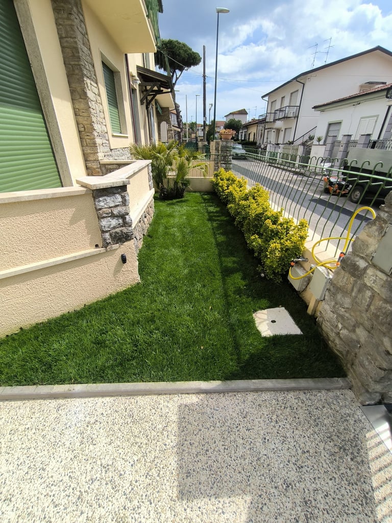 Narrow residential alley with green lawn, yellow flowering shrubs, and buildings on either side under blue sky