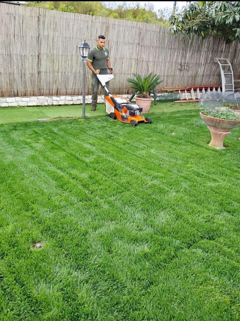 Man using orange lawn aerator on green residential backyard lawn with wooden fence and potted plants