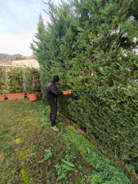Person in black clothing using a hedge trimmer to trim a tall green ivy-covered wall or fence in a residential garden